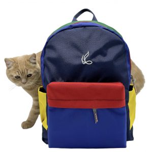 کوله رنگی ساراسا - Image 5