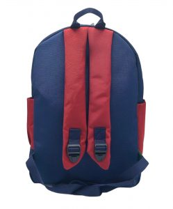 کوله رنگی ساراسا - Image 3