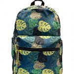 برگ انجیری طبی