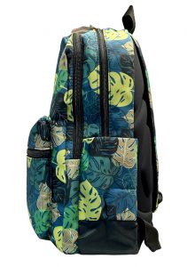 برگ انجیری طبی - Image 2