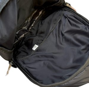 دایناسور طبی - Image 6