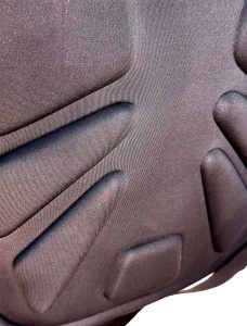 دایناسور طبی - Image 5