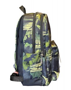 دایناسور طبی - Image 3