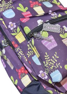 کاکتوس طبی - Image 3