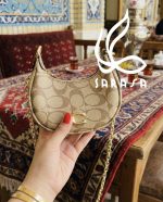 مینی كوچ - Coach - Image 2