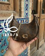 مینی كوچ - Coach - Image 2